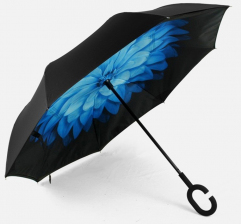 gallery/blue flower umbrella